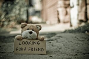 a teddy holding a sign board with written text 'looking for a friend'